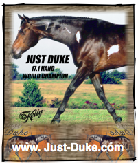just duke 
