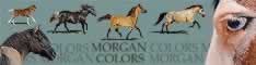 Morgan Colors
