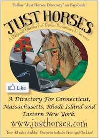 JustHorse.com