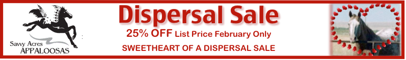 Feb Dispersal Sale