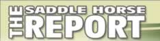 Saddle Horse Report
