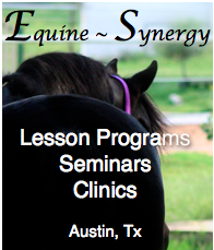 Equine Synergy