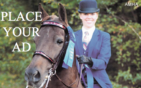 morgan.myhorseforsale.com
