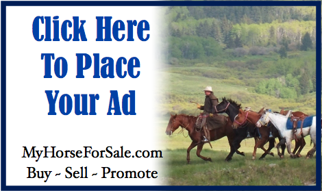 Home Page Pictures 