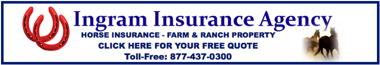 Ingram Insurance Skyline Banner