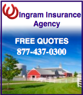 Ingram  insurance side banner