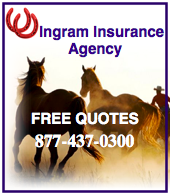 Ingram  insurance side banner