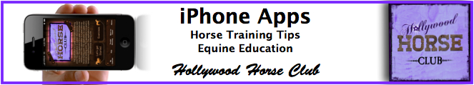 Iphone app